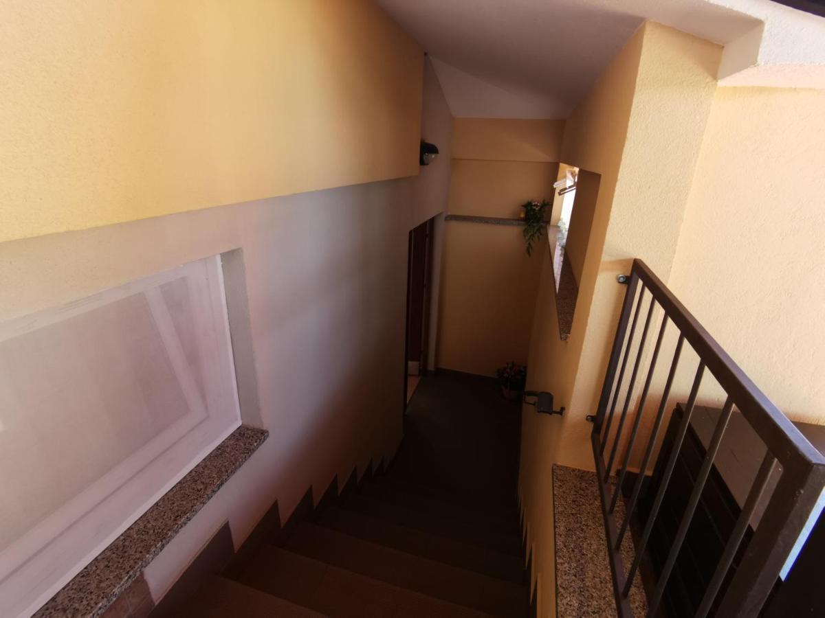 Apartmani Berber Babici Экстерьер фото